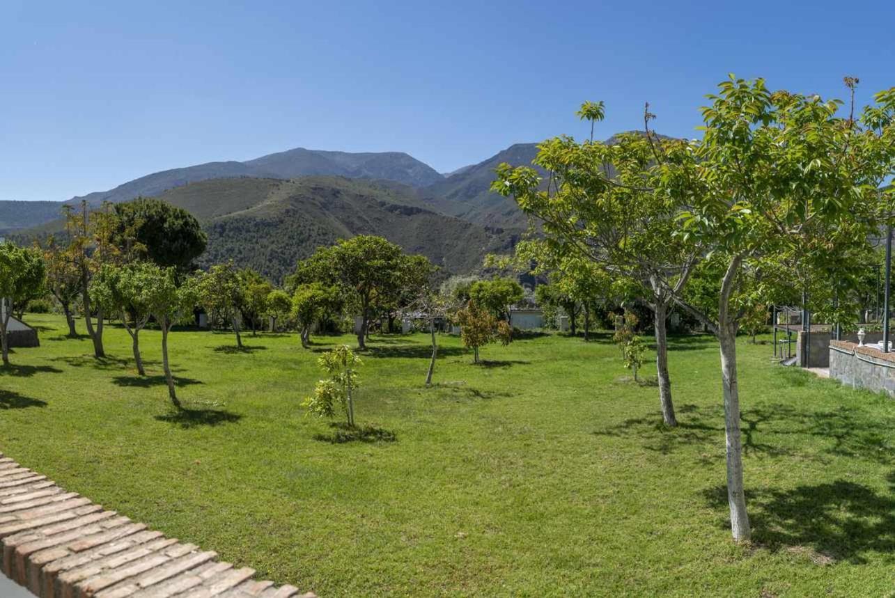 Hotel Taray Botanico 奥尔希瓦 客房 照片