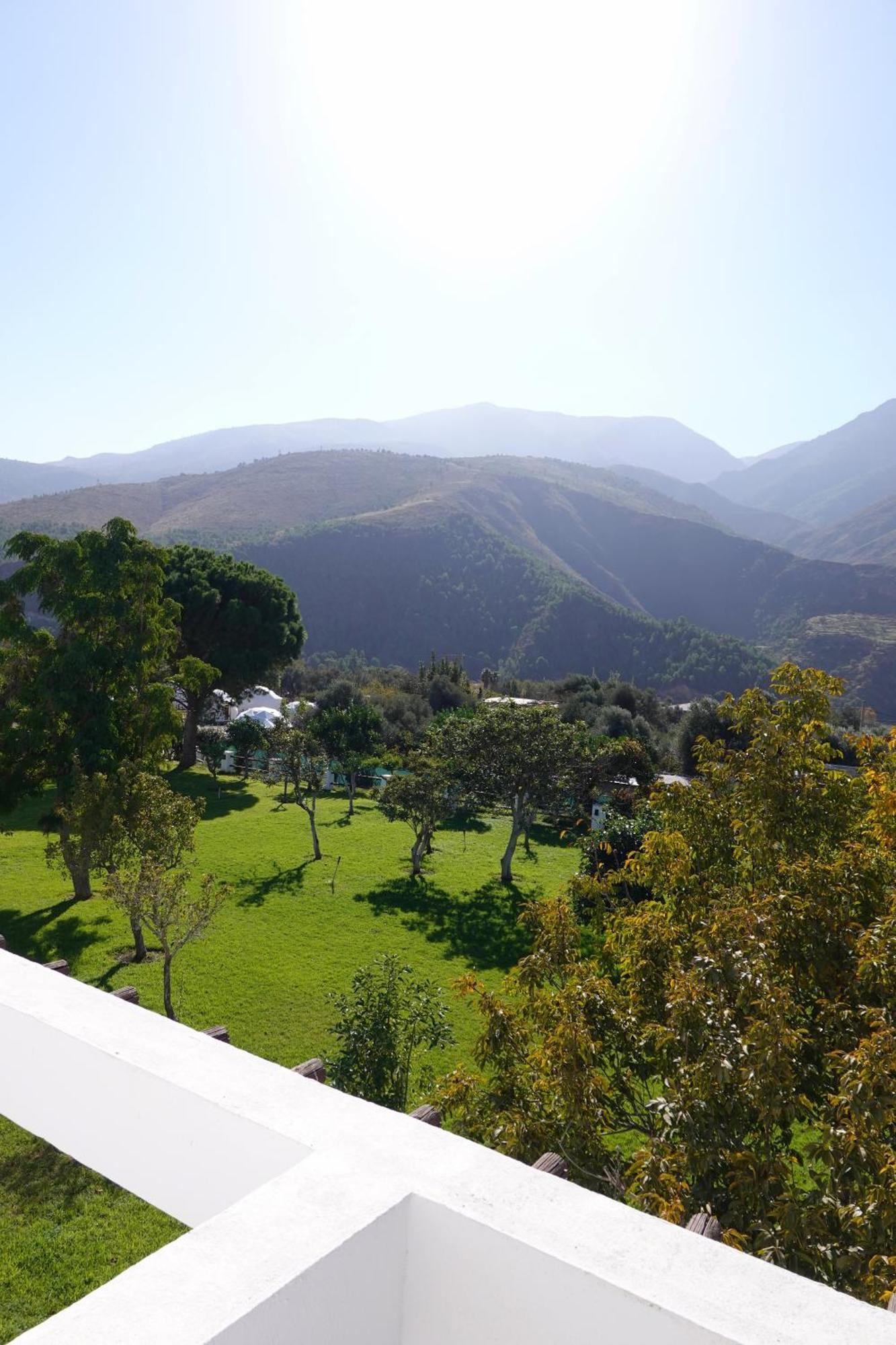 Hotel Taray Botanico 奥尔希瓦 外观 照片