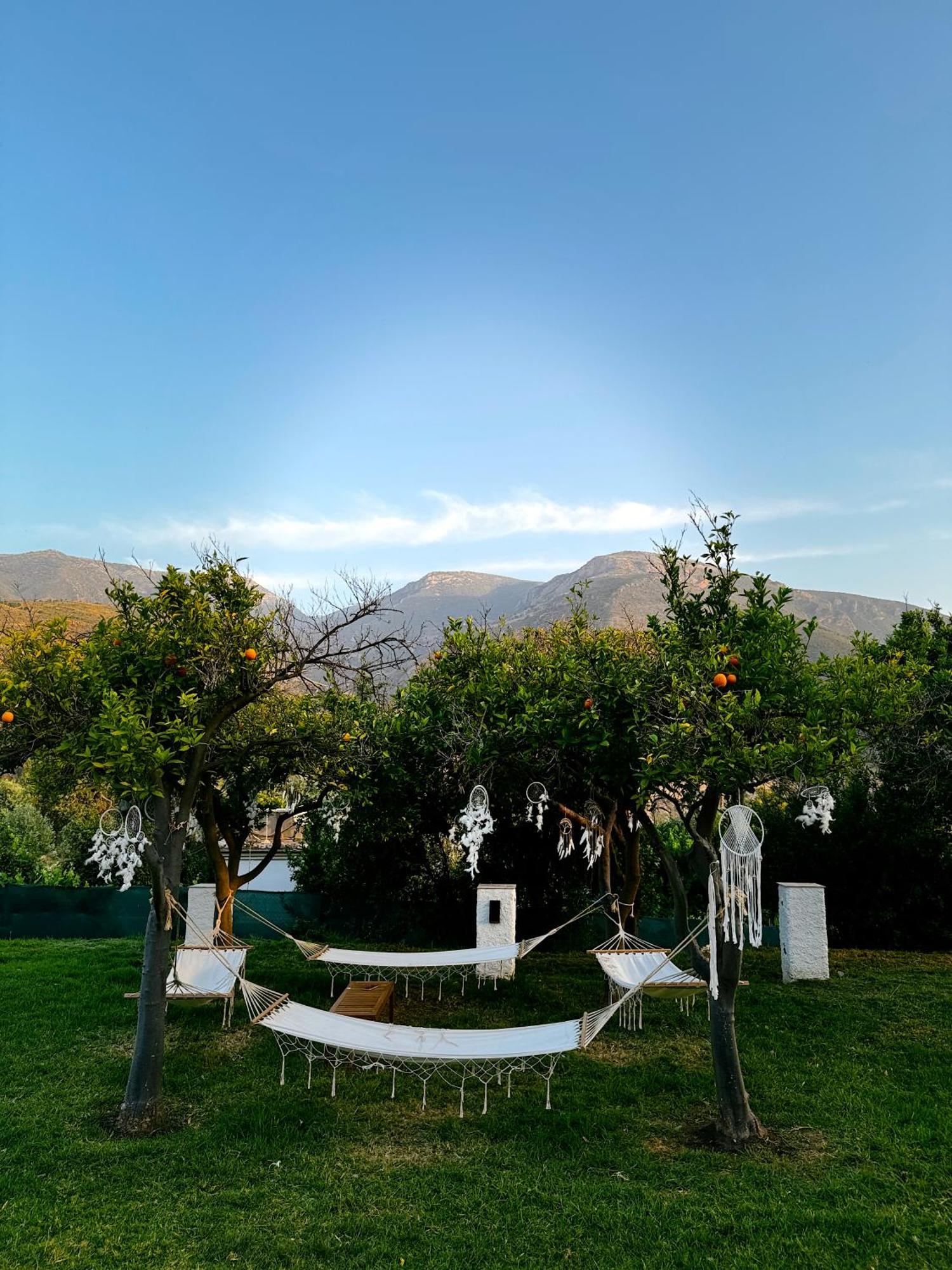 Hotel Taray Botanico 奥尔希瓦 外观 照片